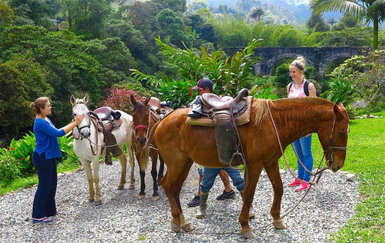 Ecolodge Puente Explanacion ซาเลนโต ภายนอก รูปภาพ