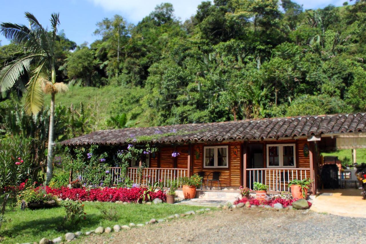 Ecolodge Puente Explanacion ซาเลนโต ภายนอก รูปภาพ