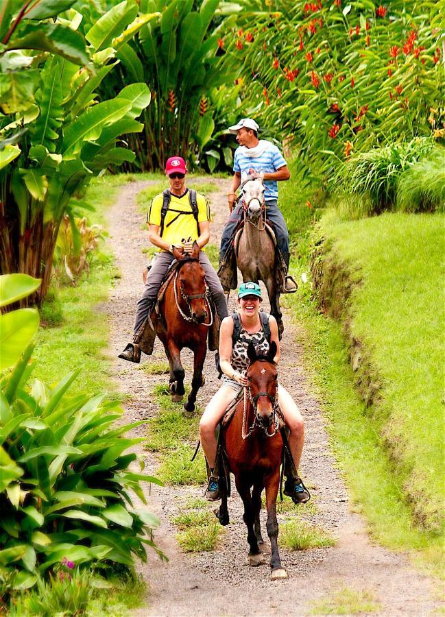 Ecolodge Puente Explanacion ซาเลนโต ภายนอก รูปภาพ